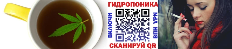 блэк спрут ТОР  Шенкурск  Canna-Cookies конопля 