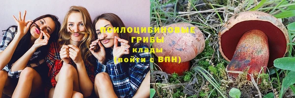 шишки Алексеевка