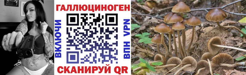 Галлюциногенные грибы Cubensis кракен как войти дарк нет наркотические препараты Шенкурск