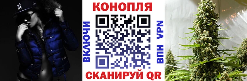 Бошки Шишки сатива  где можно купить   Шенкурск 